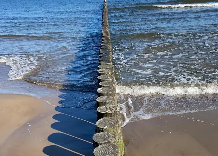 Centrum Apartament Rewal